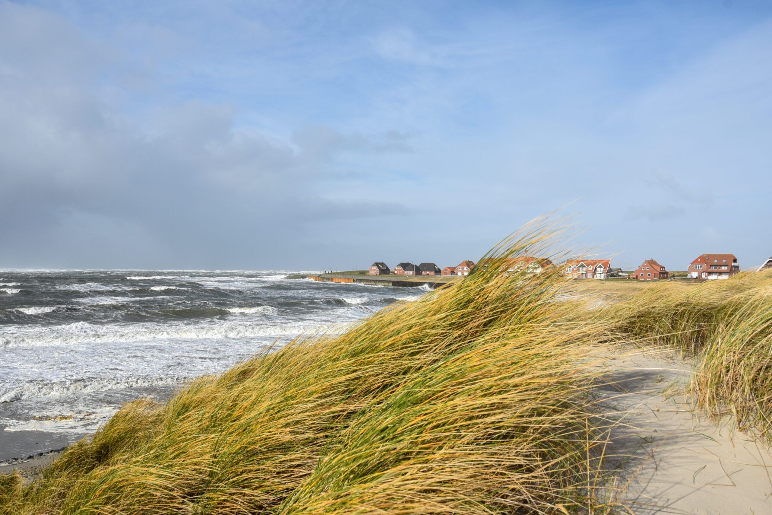 Küste und Dünen auf der Insel Baltrum